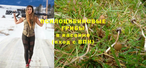 эйфоретик Горнозаводск