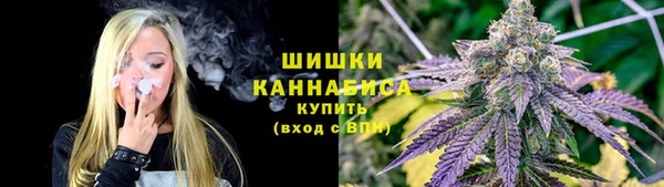 стаф Горно-Алтайск