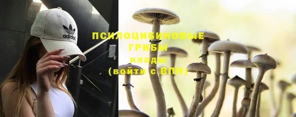 эйфоретик Горнозаводск