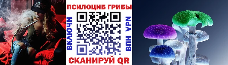 Купить где  Кировград  Галлюциногенные грибы MAGIC MUSHROOMS 